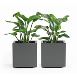 Euro3Plast Greener Kebe Pflanzkasten 100x40cm Anthrazit