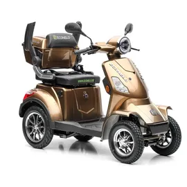 ECONELO P4000 Lithium-Akku Braun