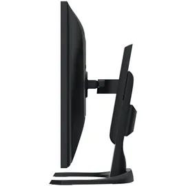 Eizo FlexScan EV3240X 32" schwarz