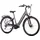 Saxonette E-Bike Deluxe Wave 2023 28 Zoll RH 50 cm Damen grau