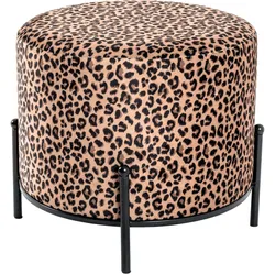 Hocker