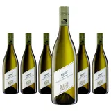 Pfaffl Grüner Veltliner Hund DAC Reserve 2016 0,75 l