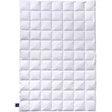 billerbeck Almira Light