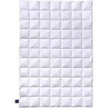 billerbeck Almira Light