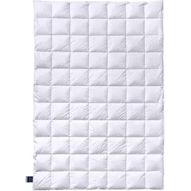 billerbeck Almira Light