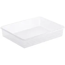 Rotho Aufbewahrungskorb Linus A4 34,5 x 24 x 10 cm transparent