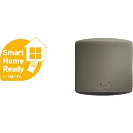 SOMFY Garagentor Funksteuerung 1870381
