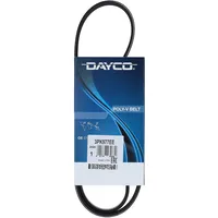 DAYCO Keilrippenriemen