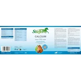 Stiefel Calcium-Plus 1 kg