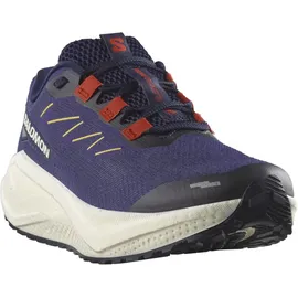 Salomon Herren Aero Blaze 3 Gravel blau 45.3