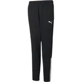 Puma teamLIGA Jogginghose Schwarz/Weiß 128