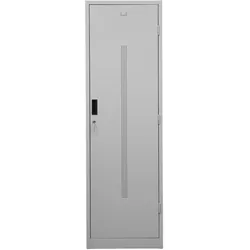 PROREGAL Sattelschrank Degu | Zylinderschloss | HxBxT 195x60x60 cm | Hakenset | Grau