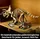 LEGO Jurassic World Dinosaurier-Fossilien: Triceratops 77985