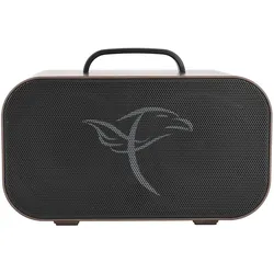 Falken Traveller Pro Wood Akustik-Amp - Akustikgitarren-Verstärker