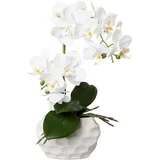 Kunstorchidee Deko-Orchidee Phalaenopsis im Keramiktopf Orchidee Phalenopsis, Creativ green, Höhe 33 cm weiß