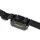 OEM D-Control Edge 250 Ferntrainer 250 m Mehrfarbig