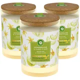 Airwick Air Wick Duft-Stimmungskerze Honigmelone & Ylang-Ylang