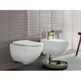 Geberit Acanto WC-Sitz 500.605.01.2