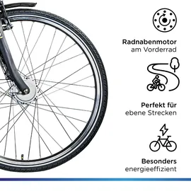 Zündapp Z510 2021 28 Zoll RH 48 cm Damen grau/grün