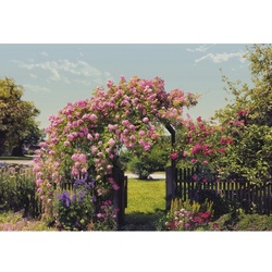 KOMAR Papiertapete »Rose Garden«, Breite: 368 cm, inkl. Kleister - bunt
