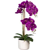 Creativ-green Kunstblume Orchidee, Phalaenopsis, lila, im Zement-Topf, Höhe 60 cm