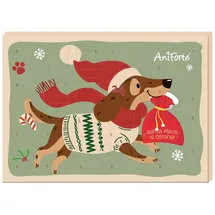 AniForte Adventskalender für Hunde 2025