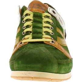 Kamo Gutsu TIFO-044 Herren Grün 45
