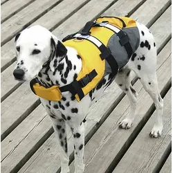 Compass Hunde-Schwimmweste