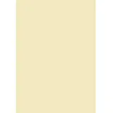 Brunnen 105122511 Universalpapier, A4, 25 Blatt, 160 g/m2, chamois