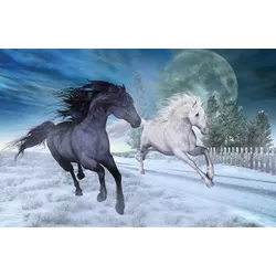 Fototapete PAPERMOON "PFERDE-NATUR MOND TIERE PONY BÄUME PFERD WANDBILD DEKO", bunt, B:4,00m L:2,60m, Vlies, Tapeten