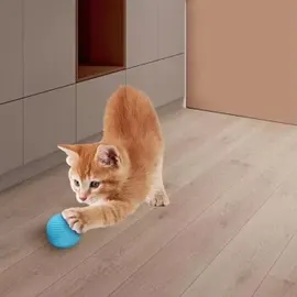 petsation Interaktives Katzenspielzeug Ball grün
