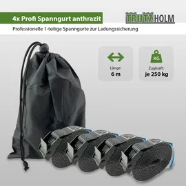 Trutzholm Spanngurt 6 m 250 kg