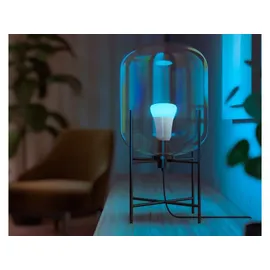 Philips Hue White and Color Ambiance E27 6,5W Bluetooth 3er-Set (929002489603)