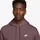 Nike Hoodie Braun/Lila L