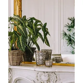 BAOBAB Candela MAX 16 Arabian Nights 16 cm weiß