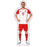 Wehncke Bayern München Luftmatratze Kane