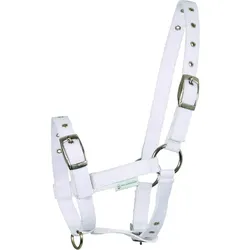 Waldhausen Fohlenhalfter Triple