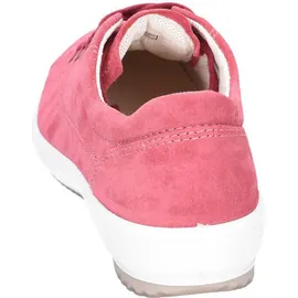 Legero Tanaro 5.0 Dark Raspberry 37,5