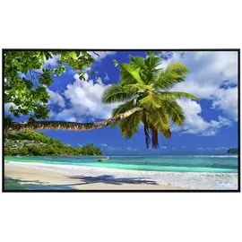 Papermoon Infrarotheizung Seychellen Palm Beach 600 W bunt