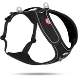 Curli Belka Hundegeschirr Schwarz 3XL