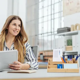 Relaxdays Bambus Schreibtisch Organizer 33 x 9 x 21 cm 1-tlg. braun