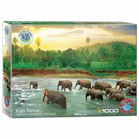 Eurographics Colour Study of Squares 6000-1323