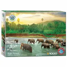 Eurographics Colour Study of Squares 6000-1323