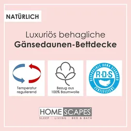 Homescapes leichte Sommer-Daunendecke 260x220 cm– Premium Gänsedaunen, Wärmeklasse 2, - Weiß