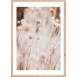 Bild Image ca. 50x70cm