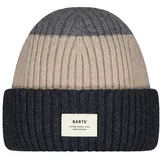 Barts Rylan Beanie Grau 53-55 cm