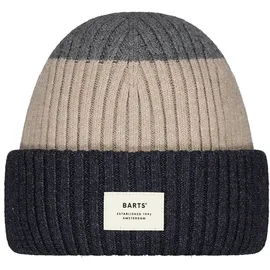 Barts Rylan Beanie Grau 53-55 cm