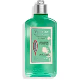 L'Occitane Verbene Karottenblüte Duschgel