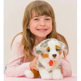 Teddy-Hermann Australian Shepherd Welpe sitzend