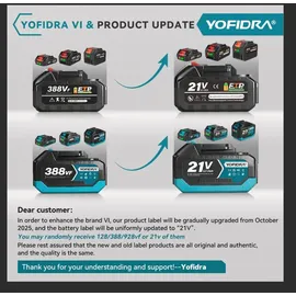 Yofidra Akku-Hochdruckreiniger 100 Bar Mobiler Hochdruckreiniger mit 2 Akkus 336l/h